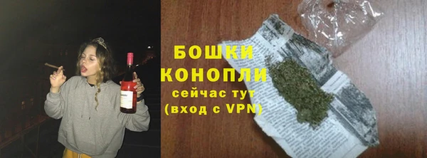 экстази Гусев