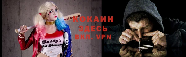 МДПВ Дмитриев