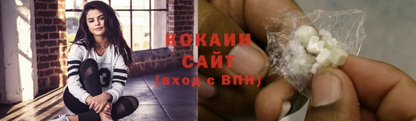 МДПВ Дмитриев