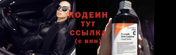 гашик Дмитровск