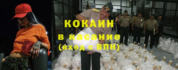 гашик Дмитровск