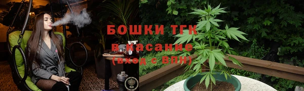 гашик Дмитровск