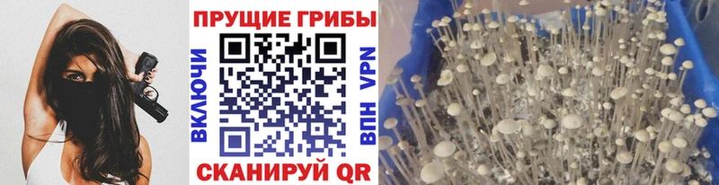 Псилоцибиновые грибы Psilocybine cubensis  где найти наркотики  сайты даркнета как зайти  Москва 